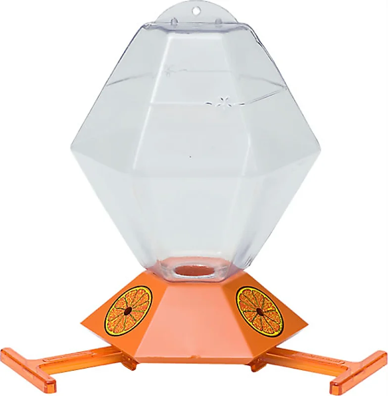 Hexagon Oriole Feeder