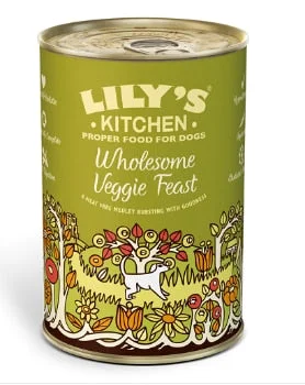 Lily's Kitchen Wholesome Veggie Feast Wet Dog Food (375g)