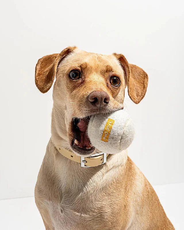 Tennis Balls in White (4-Pack)